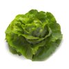 FAUSTINA RZ (43-38) product photo front S