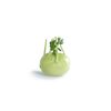 CAVADO RZ F1  product photo view-3 S