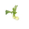 SAVIO RZ F1 (32-972) product photo front S