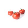 MAHITOS RZ F1 (73-407) product photo front S
