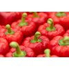 RED JET RZ F1 product photo view-5 S