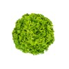 HISTRION RZ (81-175) product photo front S