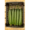 SELECTOR RZ F1 product photo view-4 S