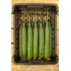 VERDON RZ F1 product photo view-3 S