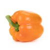 TITO RABAT RZ F1 product photo front S