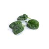 KINGSNAKE RZ F1 (51-SE743) product photo front S