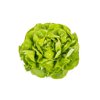 DANUBIA RZ product photo front S