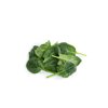 WARTHOG RZ F1 product photo front S