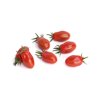 LAURENCETTO RZ F1 product photo front S
