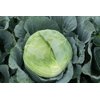 MANOUK RZ F1 (30-WC796) product photo view-2 S