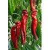 PALERMO ROLER RZ product photo view-3 S