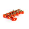 MIRANTE RZ F1 product photo view-3 S