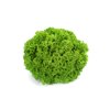 LINARO RZ (85-14) product photo front S