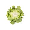 ABELLINA RZ product photo view-3 S