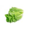 CONCENTRUS RZ  product photo view-3 S