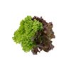 Salatriomix 2 (3x25tpc) product photo front S