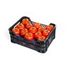 ALZEN RZ product photo view-2 S