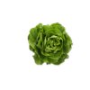 SWANTRIA RZ product photo front S