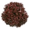 SCAMANDER RZ product photo front S