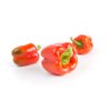 KATELA RZ F1 (35-179) product photo front S