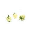 LIMPOPO RZ F1  product photo view-3 S
