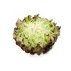 PRUNAÏ RZ product photo view-2 S