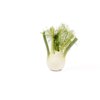 GRECALE RZ F1 product photo front S