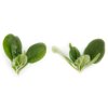 NANDU RZ F1 product photo view-3 S
