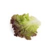 BARTAL RZ  product photo view-3 S