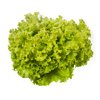 JONCTION RZ product photo front S