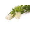 GRECALE RZ F1 product photo view-2 S