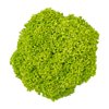 LIMEIRA RZ product photo front S