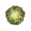 MINERAL RZ product photo view-3 S