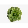 SAMPEDRO RZ product photo front S
