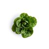 CAICEDO RZ (41-CO2151) Knox™ product photo view-2 S