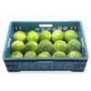 TOUGHMA RZ F1 product photo view-4 S