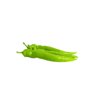 天寻1663(37-BU1663)Tanshu 1663 product photo front S