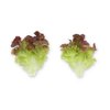 SUPRADAI RZ product photo view-3 S