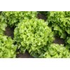 KIMANI RZ (83-OA2646) product photo view-2 S