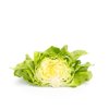 CARASCO RZ (43-163) product photo view-2 S