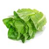 CONCENTRUS RZ product photo view-3 S