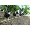 华墨1030(10-RC1030)Harmo 1030 product photo view-2 S