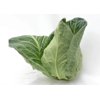 SONSMA F1 (GZG 232) product photo view-3 S