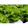 SOLUTRIA RZ product photo view-2 S