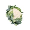 ORMONDE RZ F1 product photo view-2 S