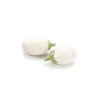 BLANCHETTE RZ F1 (10-951) product photo view-2 S