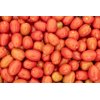 TULEMALU RZ F1 (72-PL0501) product photo view-3 S