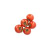 MONDICIA RZ F1 product photo front S