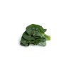 SHEARWATER RZ F1 product photo front S