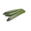 ROADIE RZ F1 (24-242) product photo front S